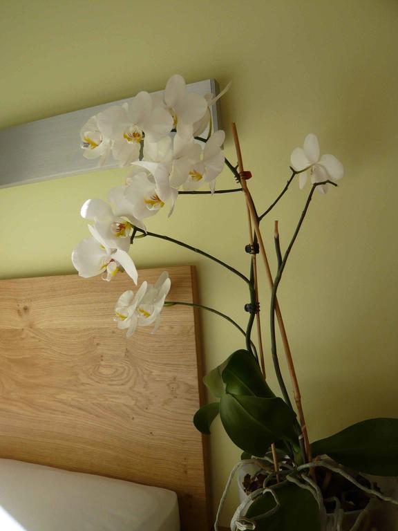 Valbella Bed & Breakfast Partenen Room photo
